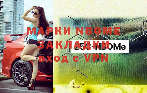 индика Покачи